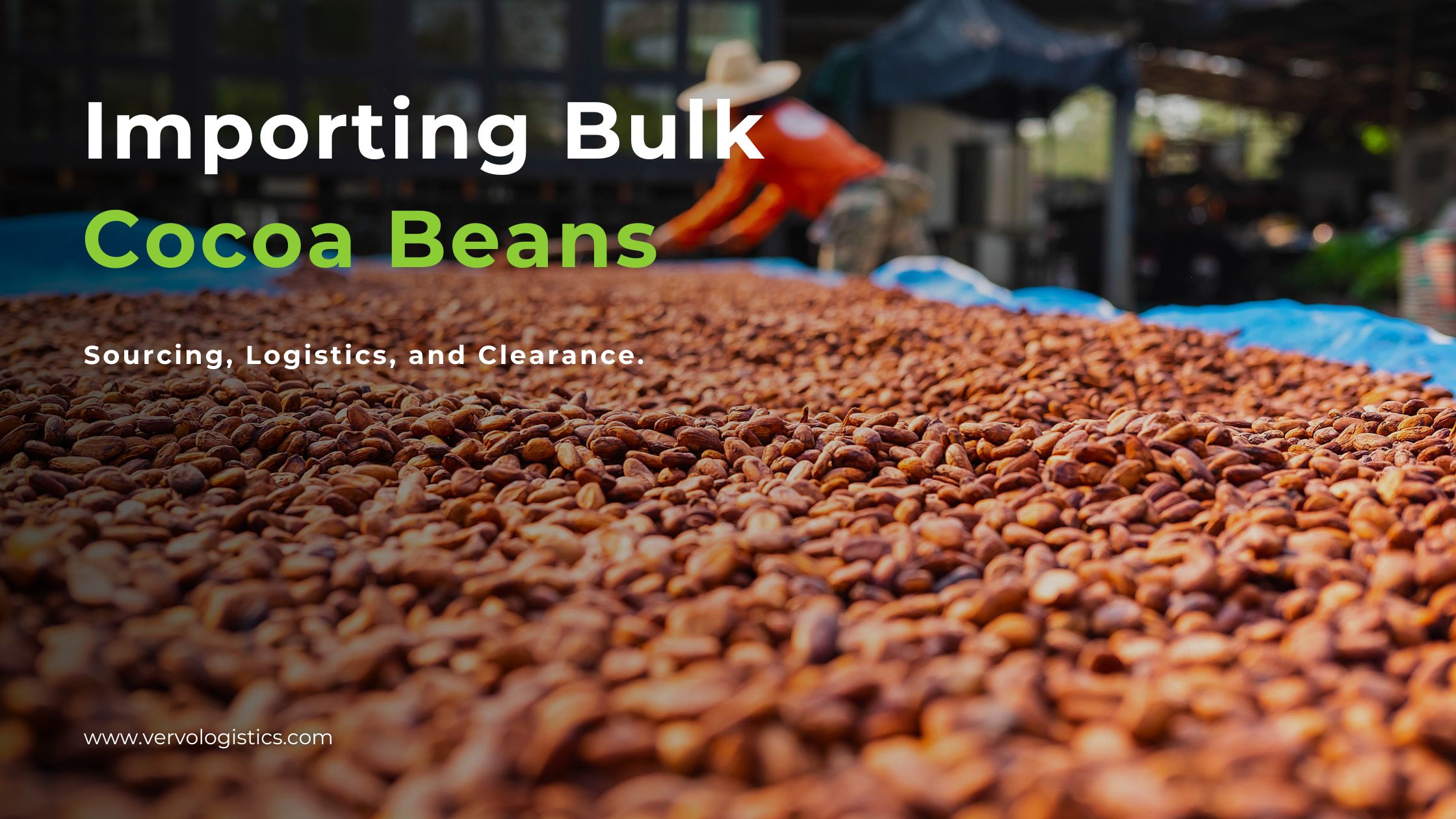 Importing Bulk Cocoa Beans Sourcing Logistics and Clearance by vervo middle east for shipping cocoa cargo and bulk cargo services worldwide to the uae